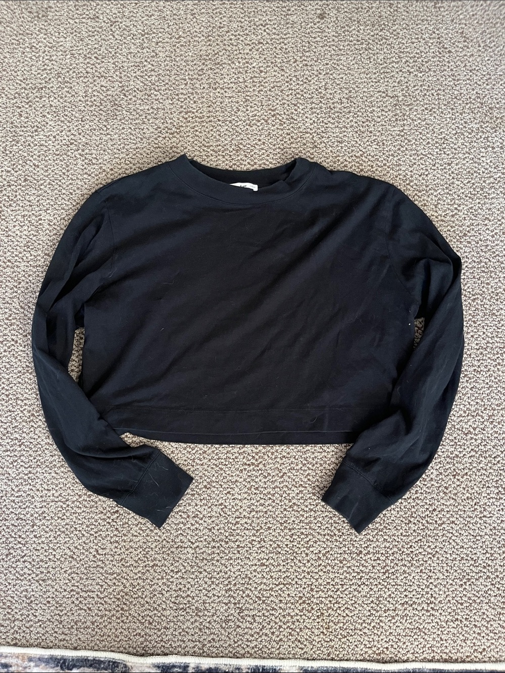 Aritzia long sleeve crop top
